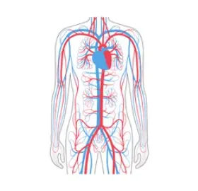 NeoGluco Blood Sugar Support